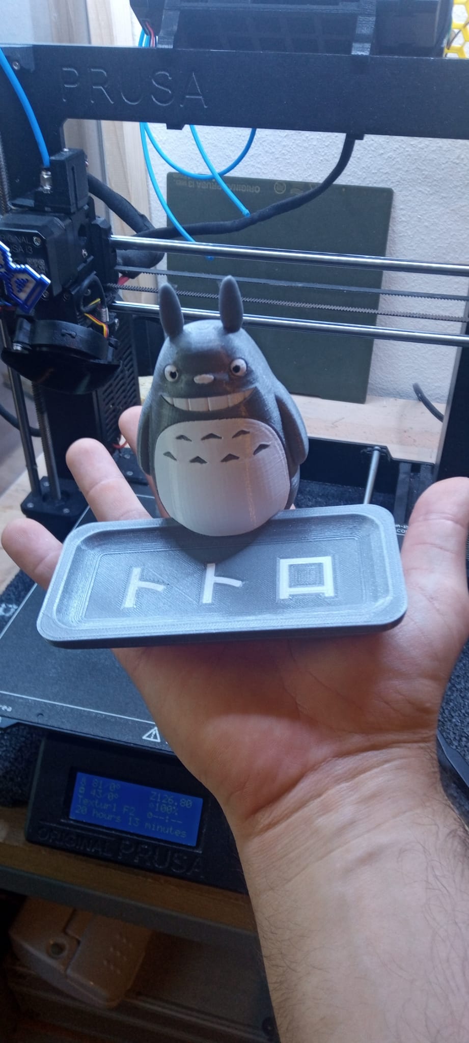 Totoro Soap Dish