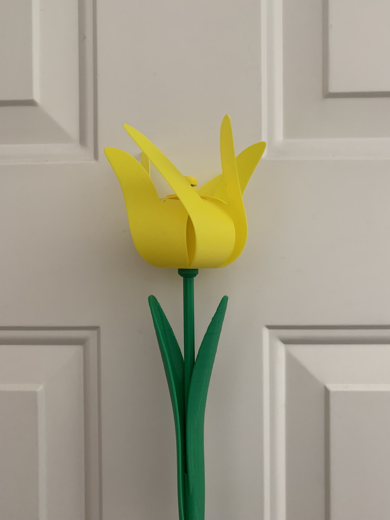 Miniatura 7 do modelo 3D Twirling Tulip