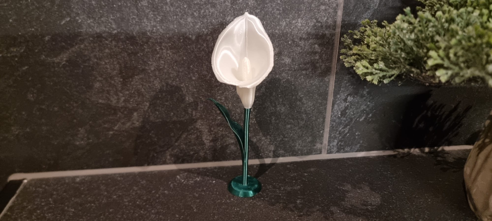 Miniatura 4 do modelo 3D Calla Lily