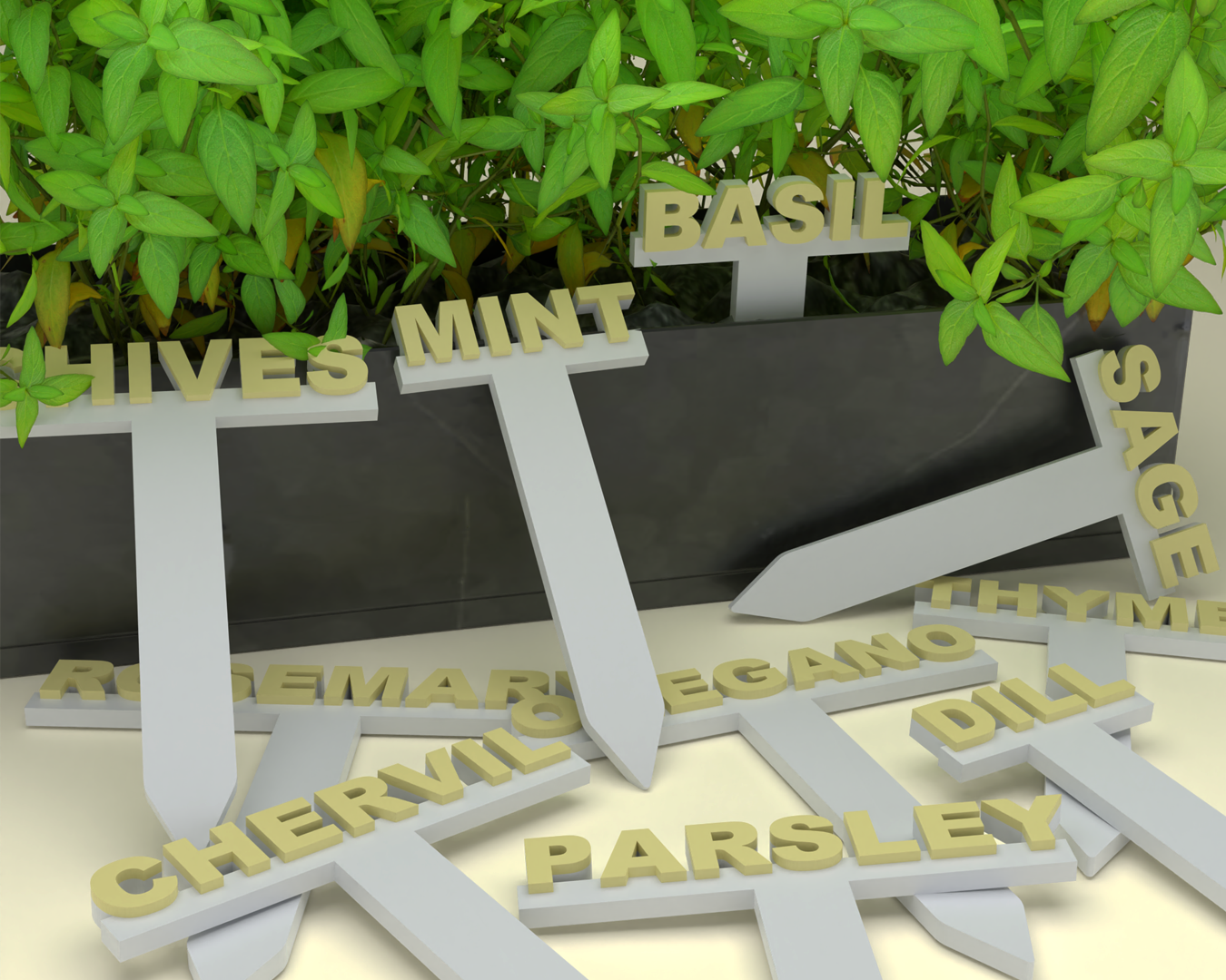 Herb Labels - Standard Font