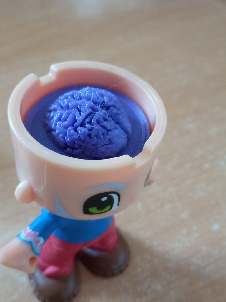 Cerebro Pinypon