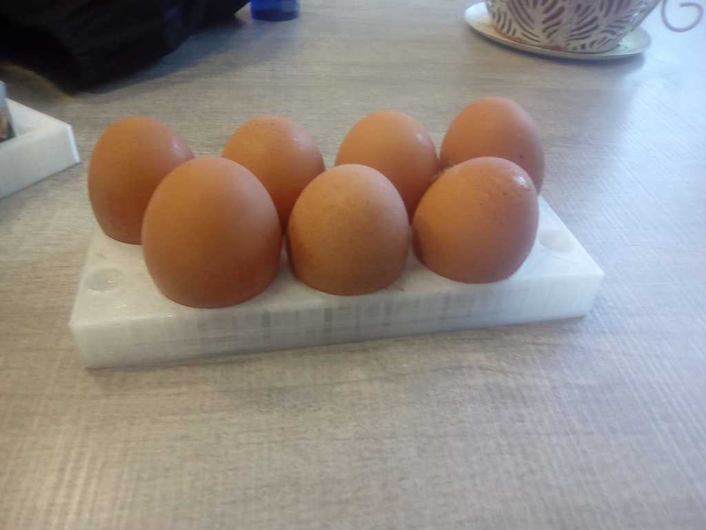 HUEVERA de Plástico -Para 10 huevos