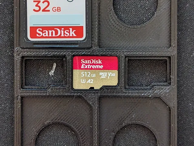 Wallet Card - SD and microSD cards
