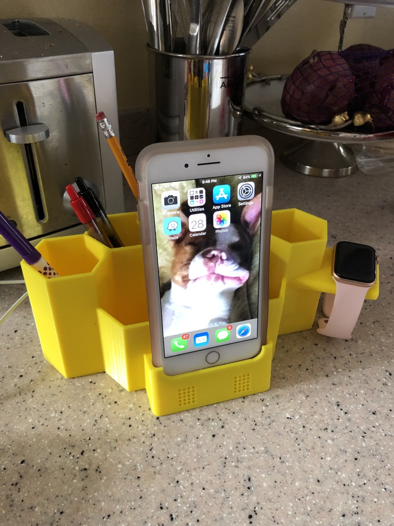 Organizer + iPhone + Apple Watch