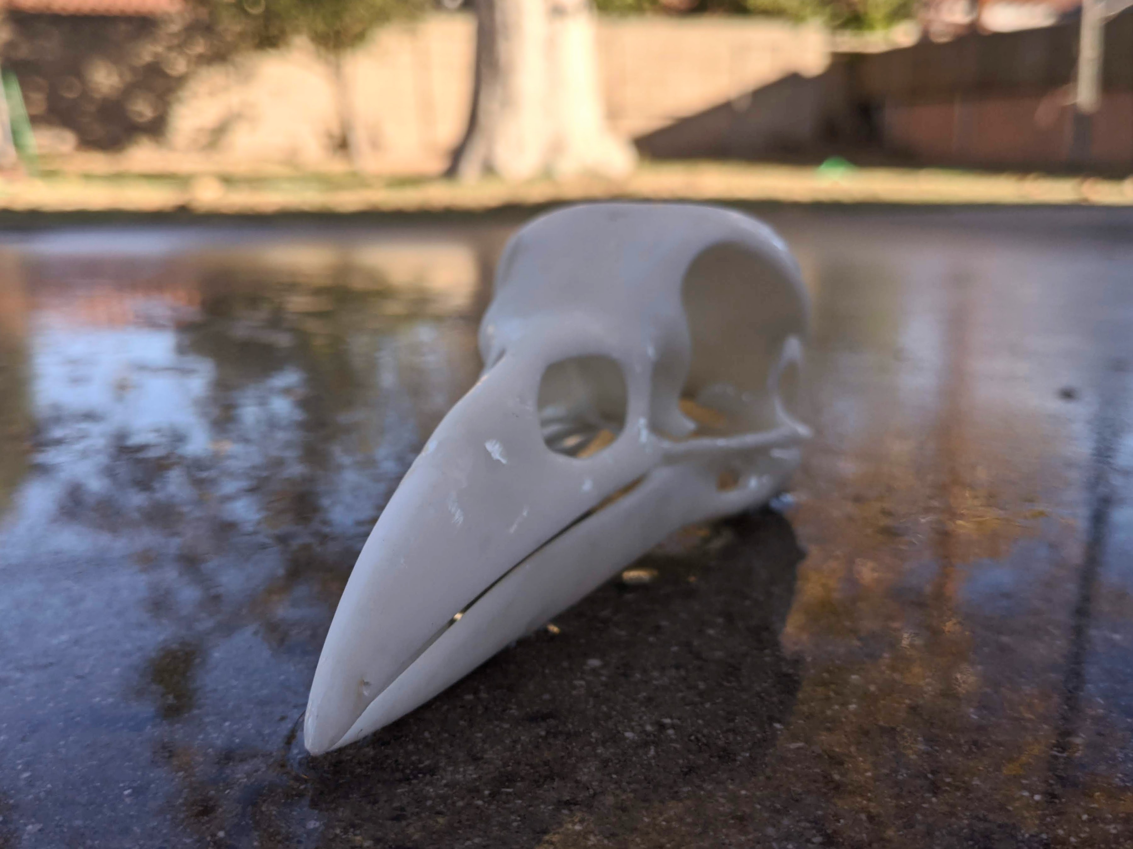 Raven Skull by Shadowcraft Designs | Download free STL model ...