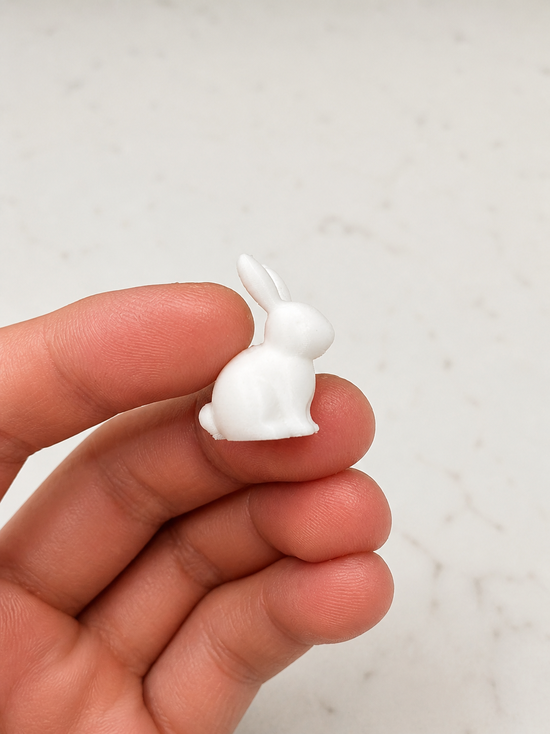 Mini Bunny