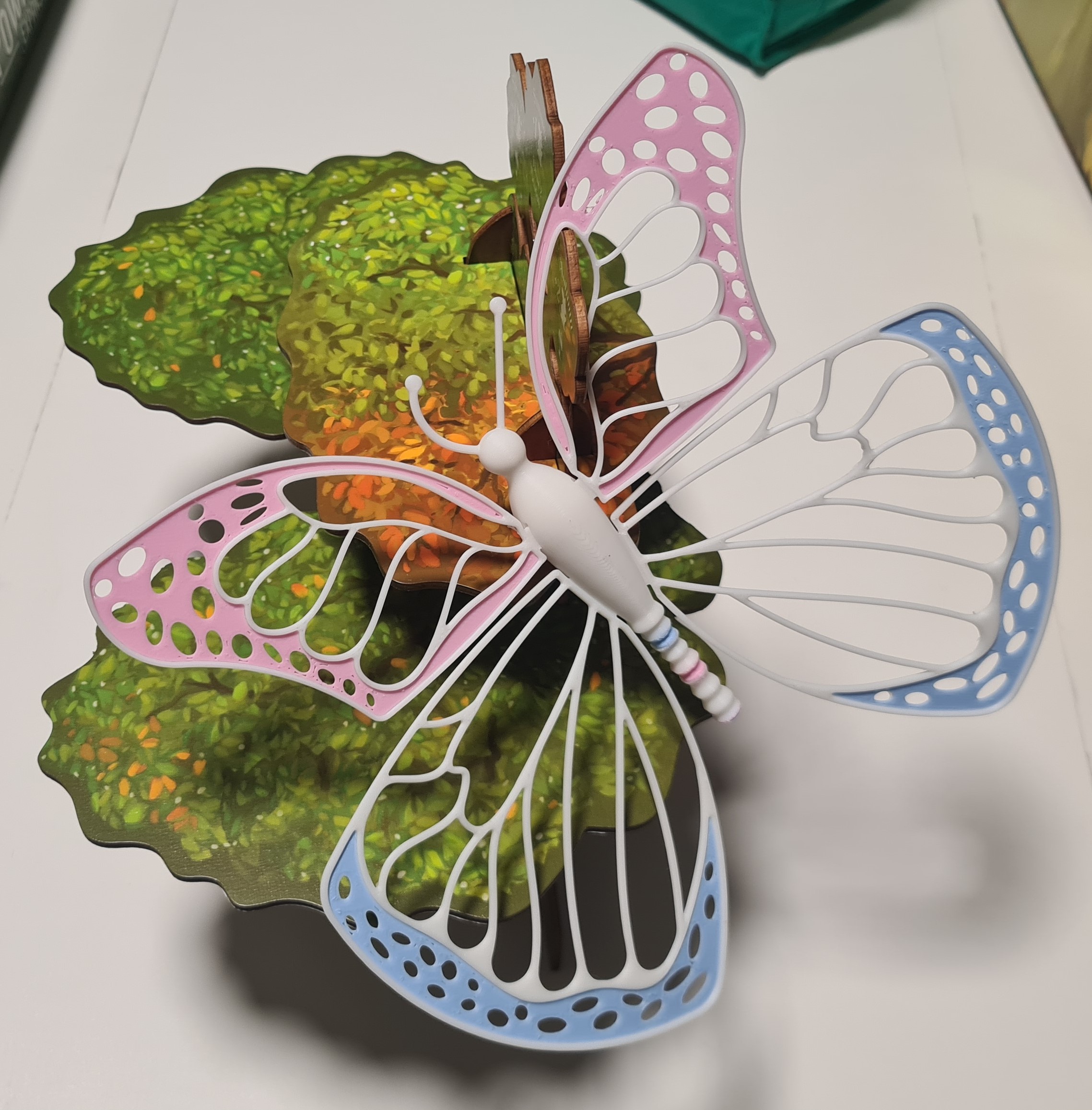 Decorative Butterfly - MMU