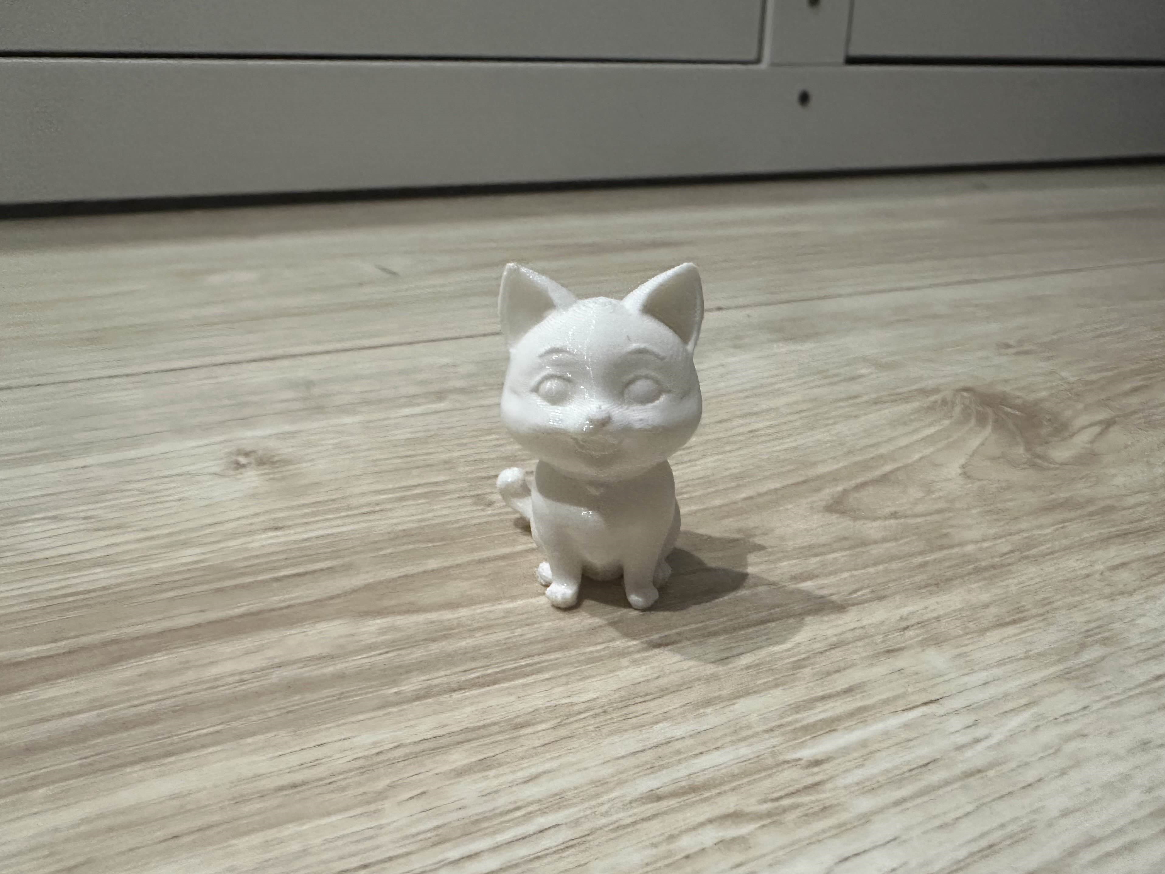 Cute Cat