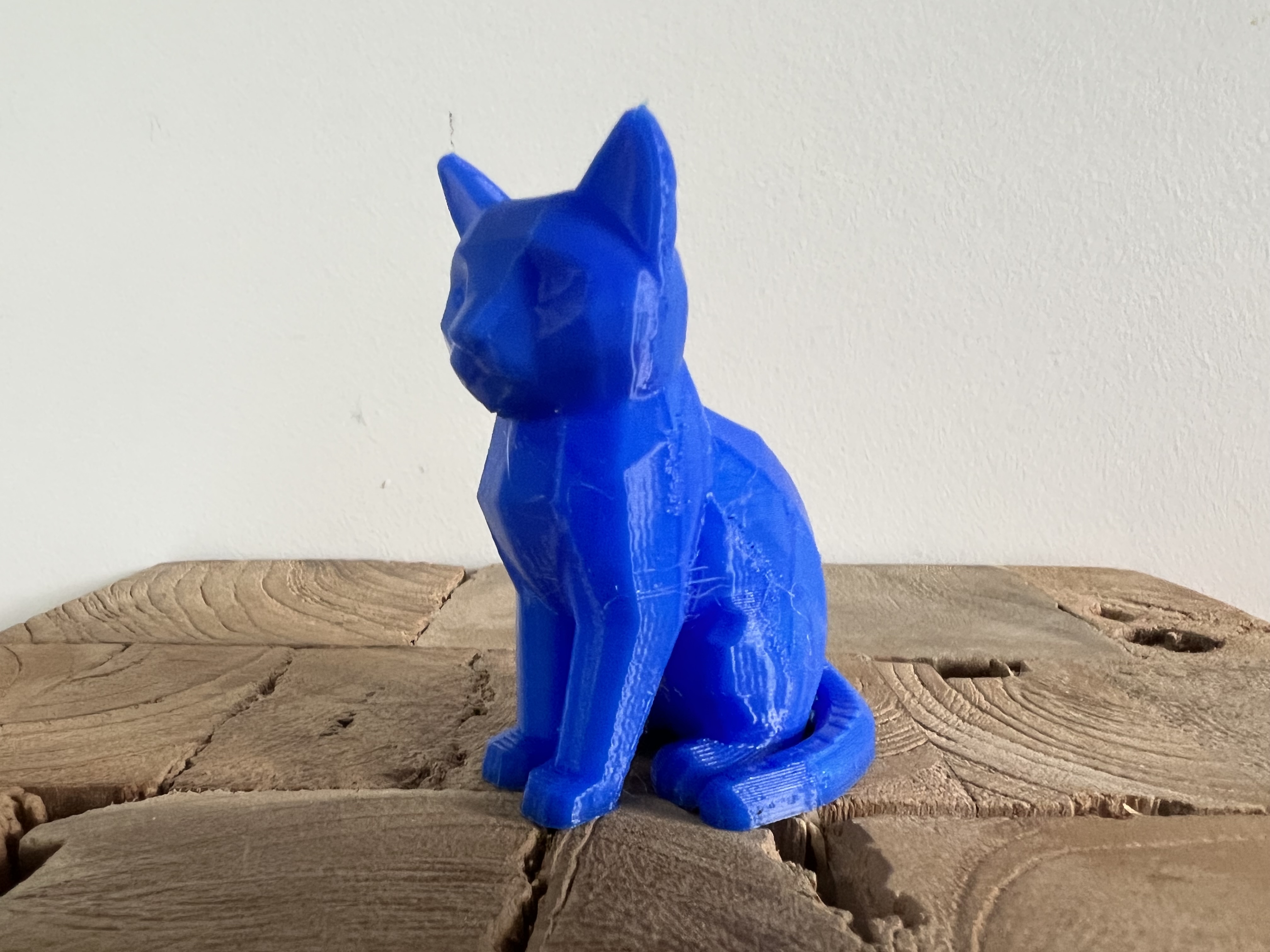 Miniatura 2 do modelo 3D Sitting Cat