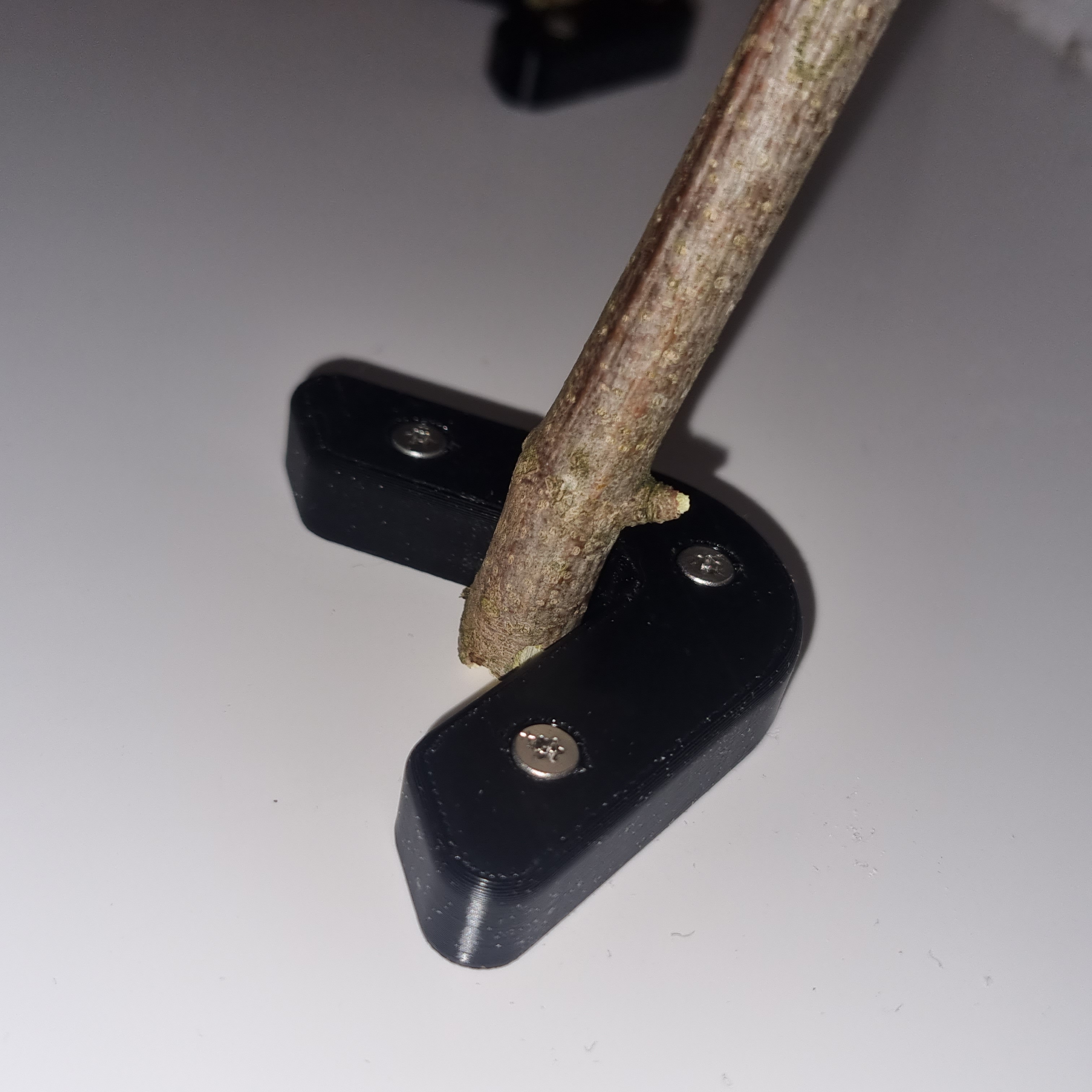 V Halter / Asthalter / Baumpython / Terrarium ( small )