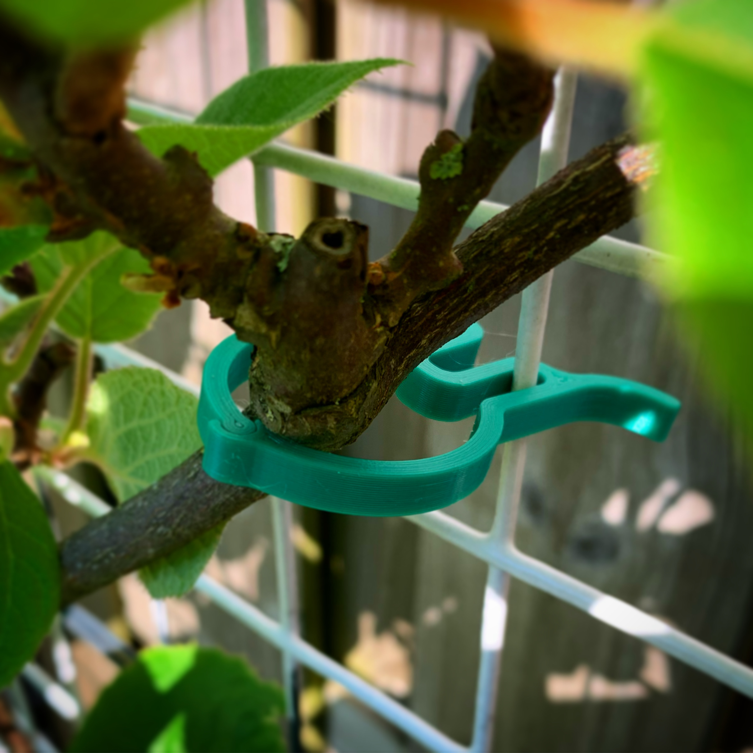 Plant Clip Remix By JiltedGeek Download Free STL Model Printables