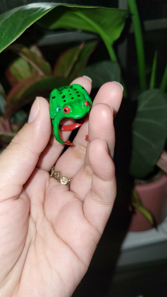 Miniatura 2 do modelo 3D Tree Frog Ring