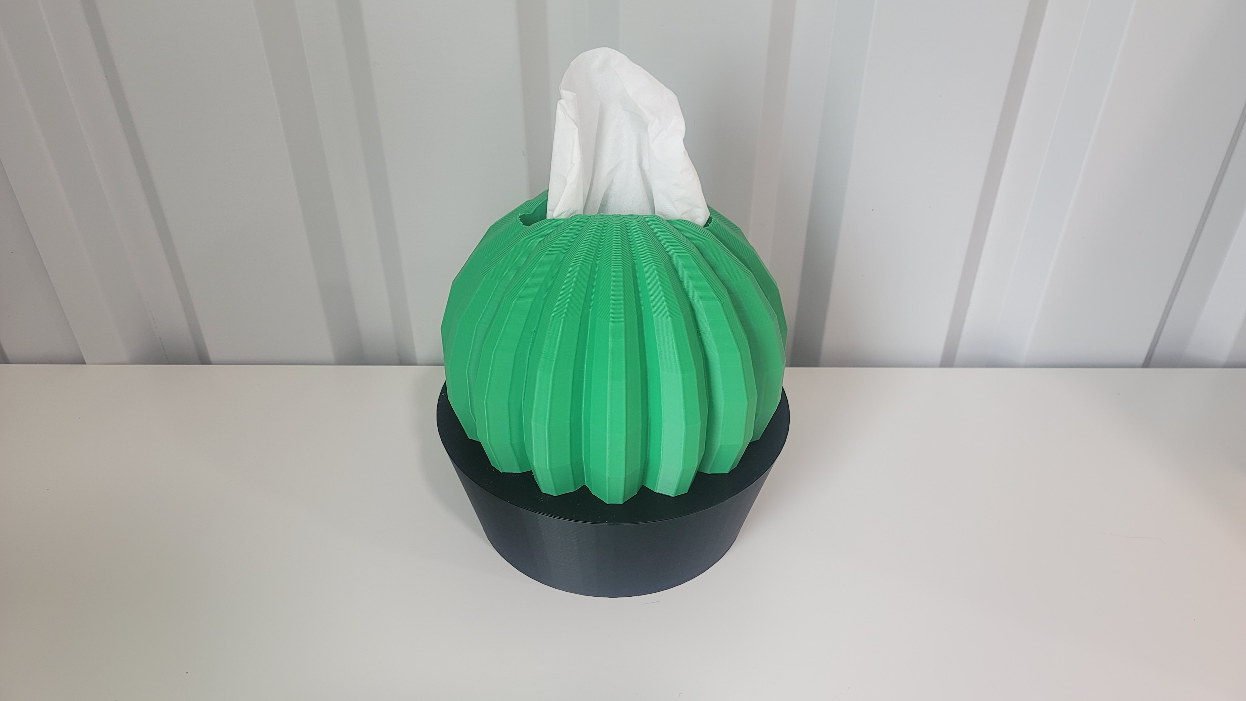 Cactus Planter Tissue Box Cover