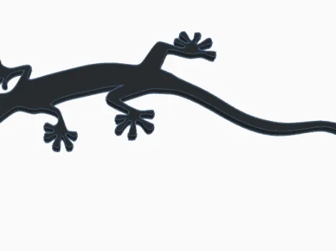 Gecko Salamander