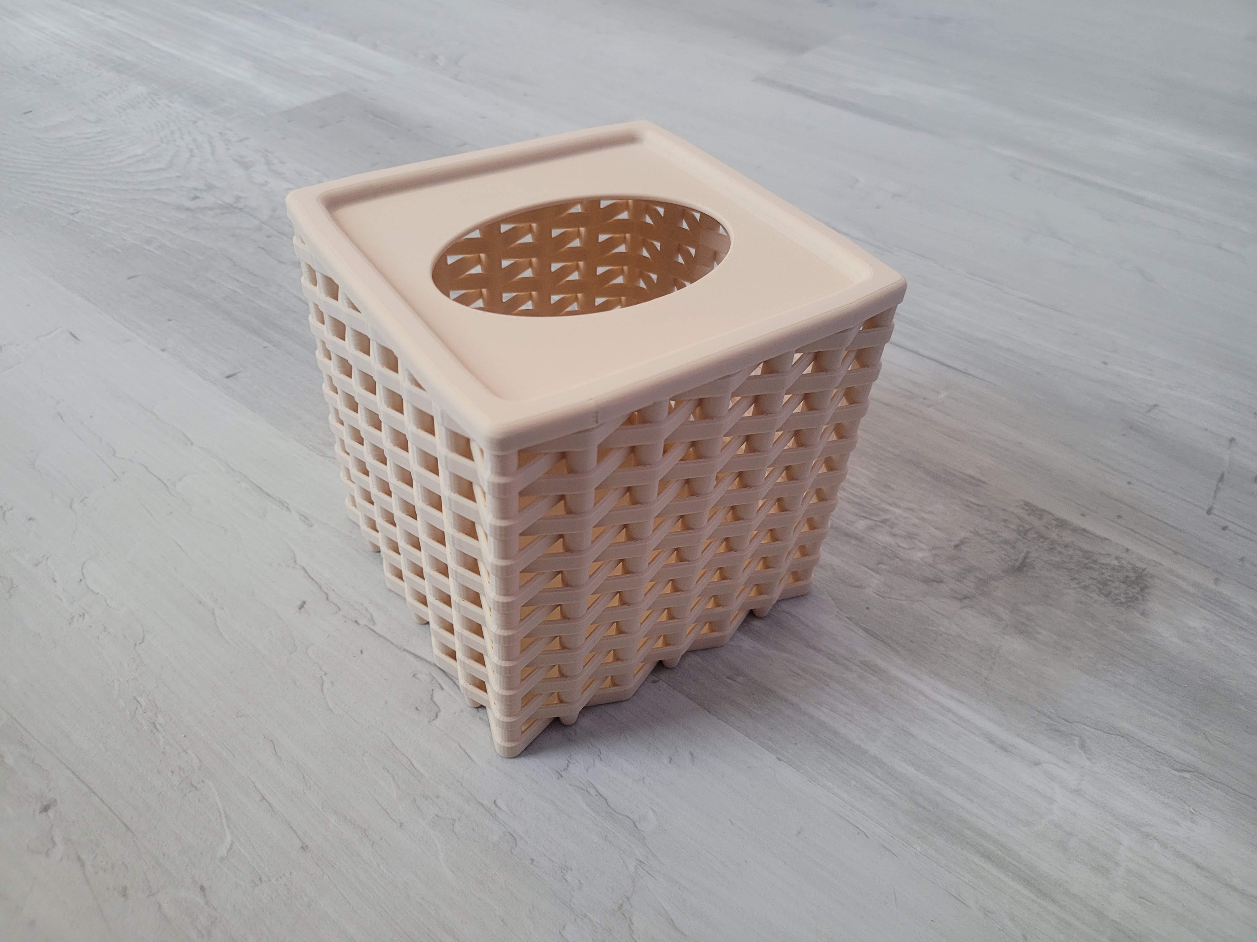 Miniatura 5 do modelo 3D Tissue Box