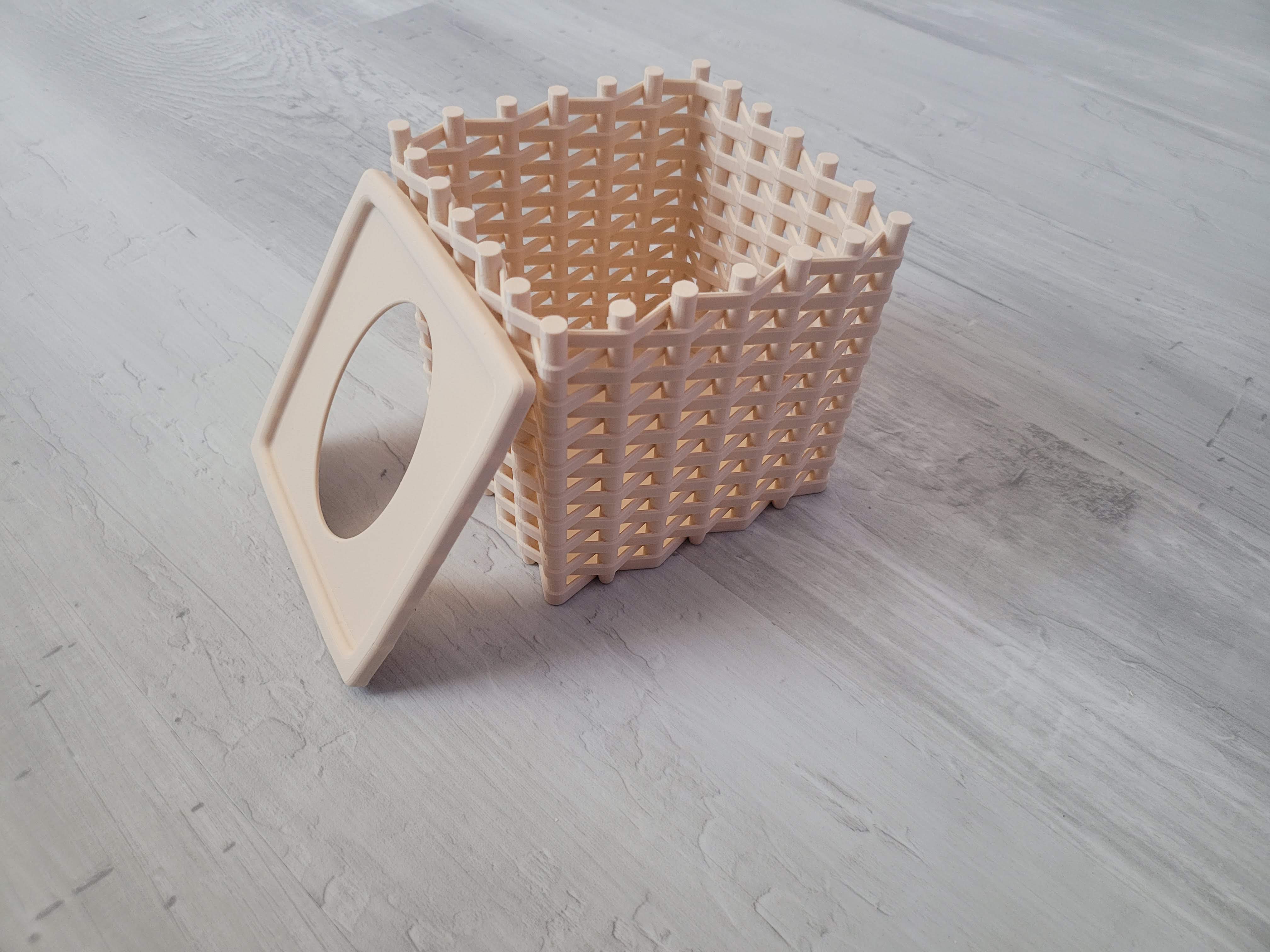Miniatura 4 do modelo 3D Tissue Box
