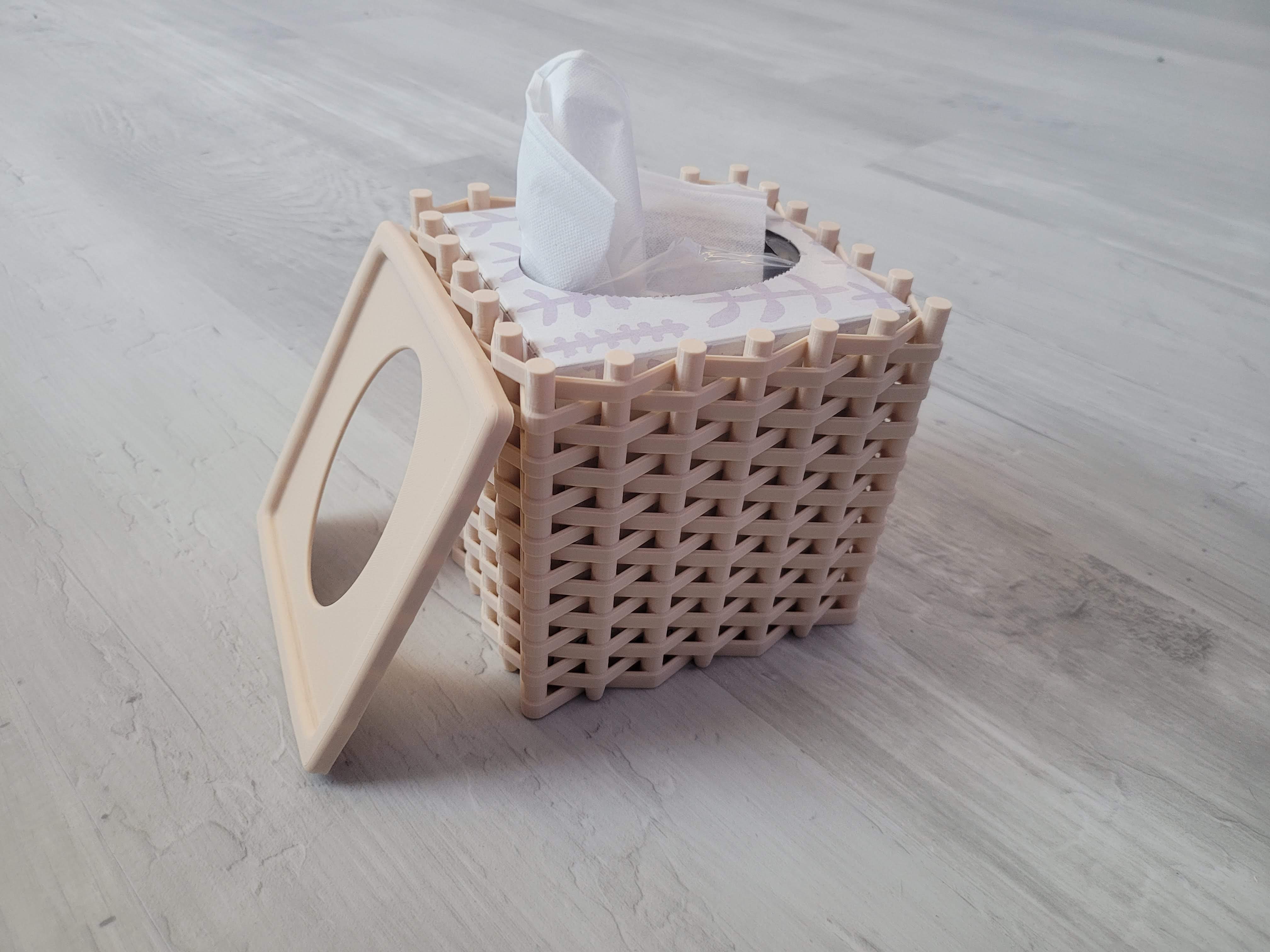 Miniatura 3 do modelo 3D Tissue Box