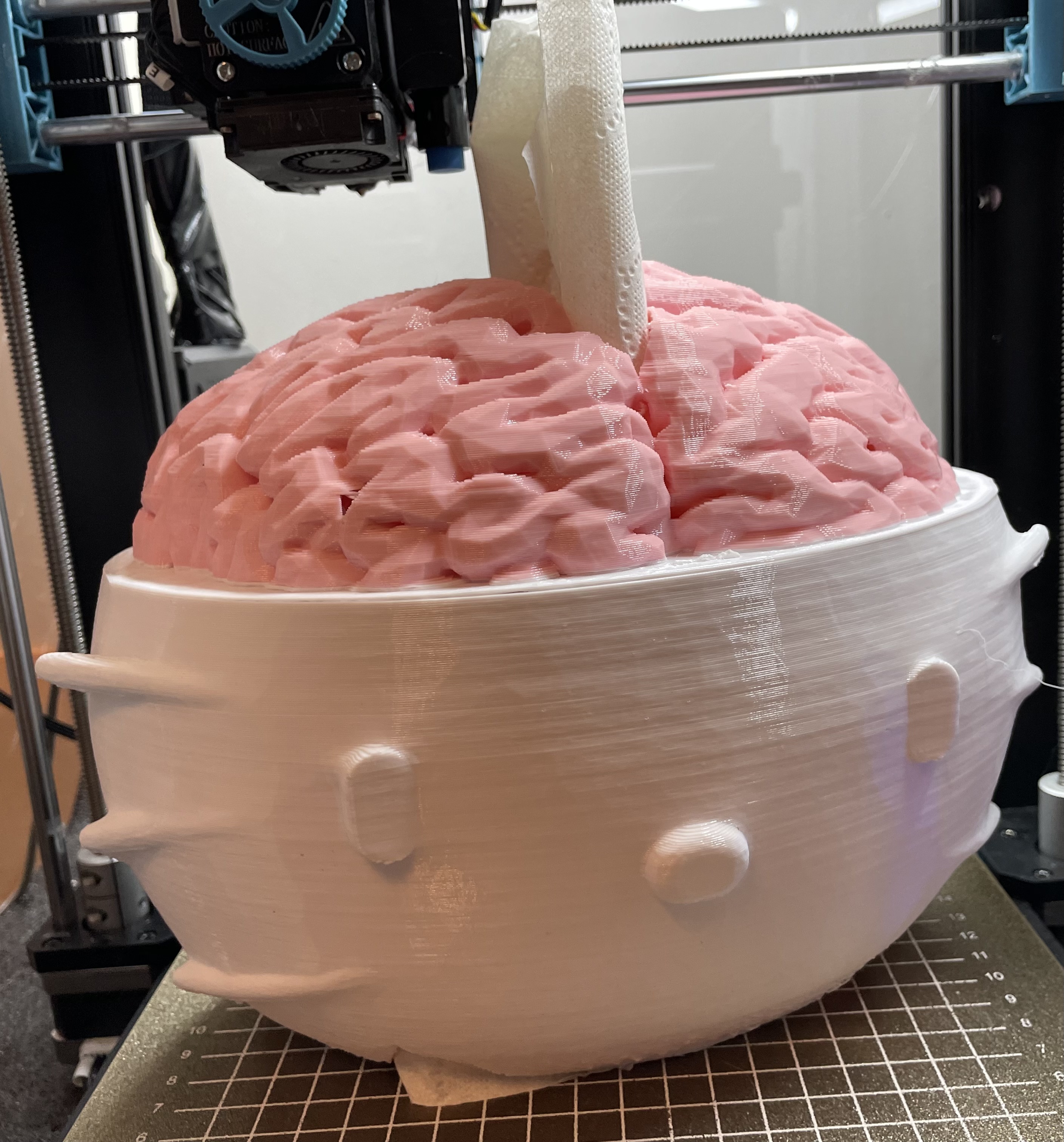 Hello Kitty's Brain Tissue