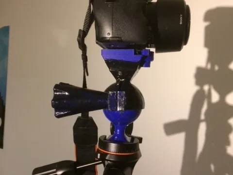 Kneecap for vanguard