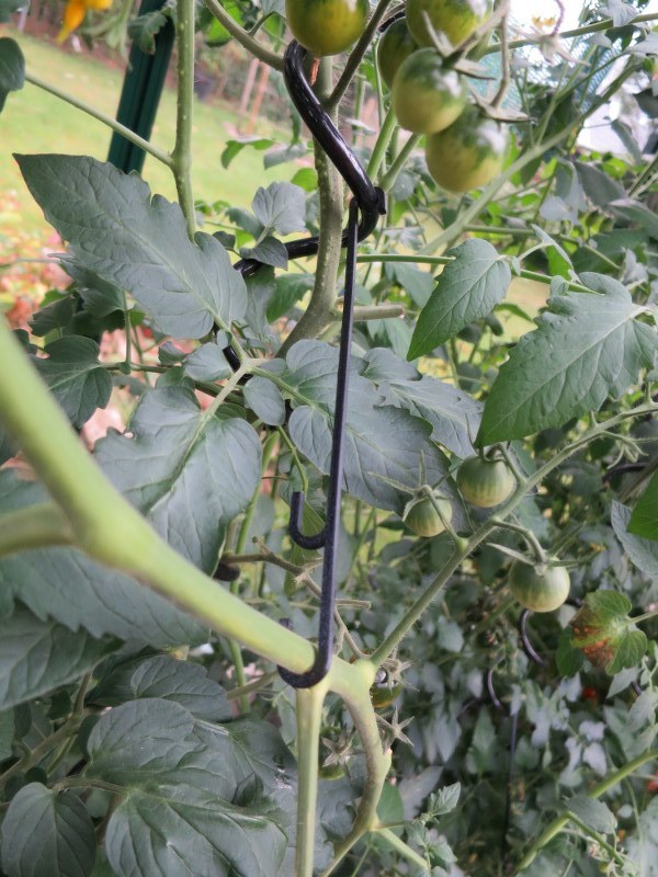 Greenhouse hook by Thomaswt Download free STL model