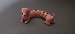 Articulated dachshund flexi multi color