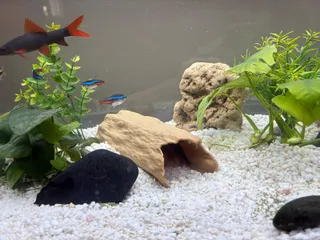Aquarium decoration with base