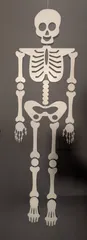 Glowing skeleton - Halloween