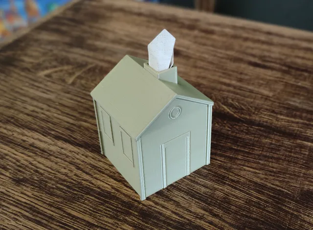House tissue box