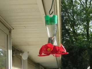 Perky Pet Feeder Top