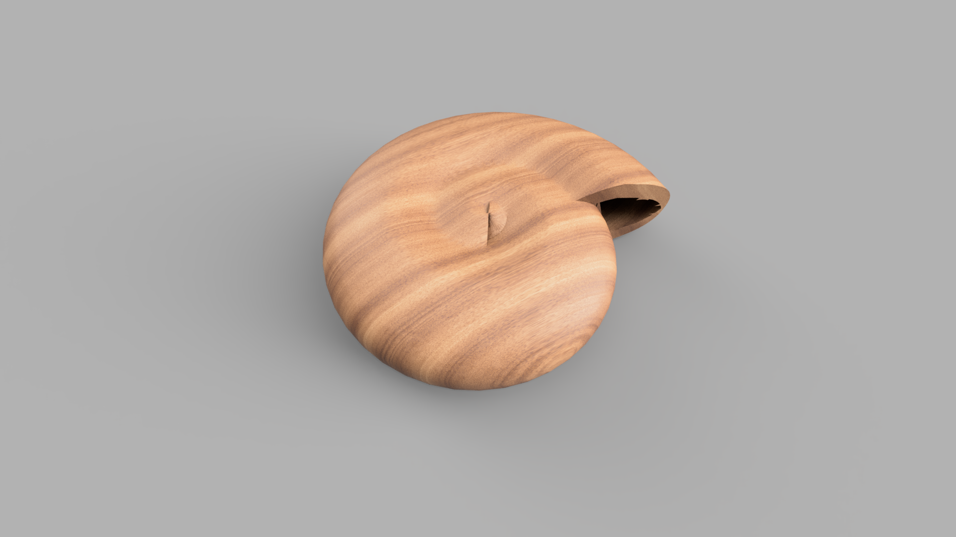 Miniatura 3 do modelo 3D Snail Shell