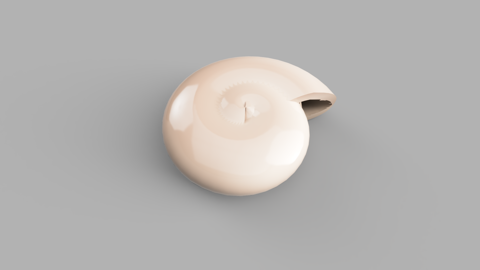Miniatura 2 do modelo 3D Snail Shell