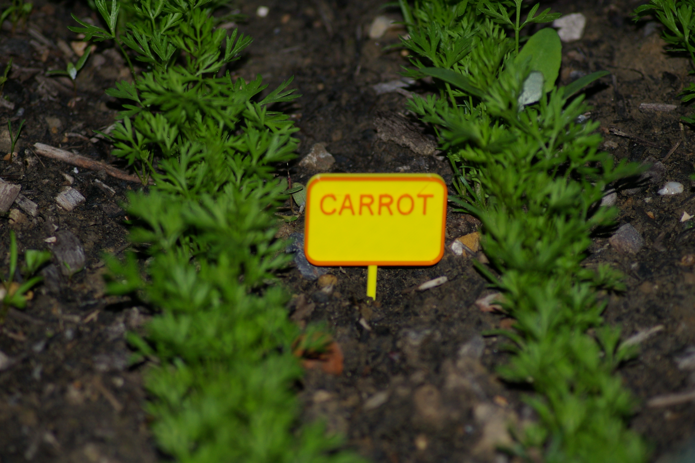 Plant Sign by The_3D_Printing_Tiger | Download free STL model ...