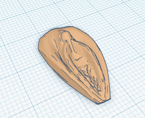 Piercing / Ring holder , display , stand , vagina