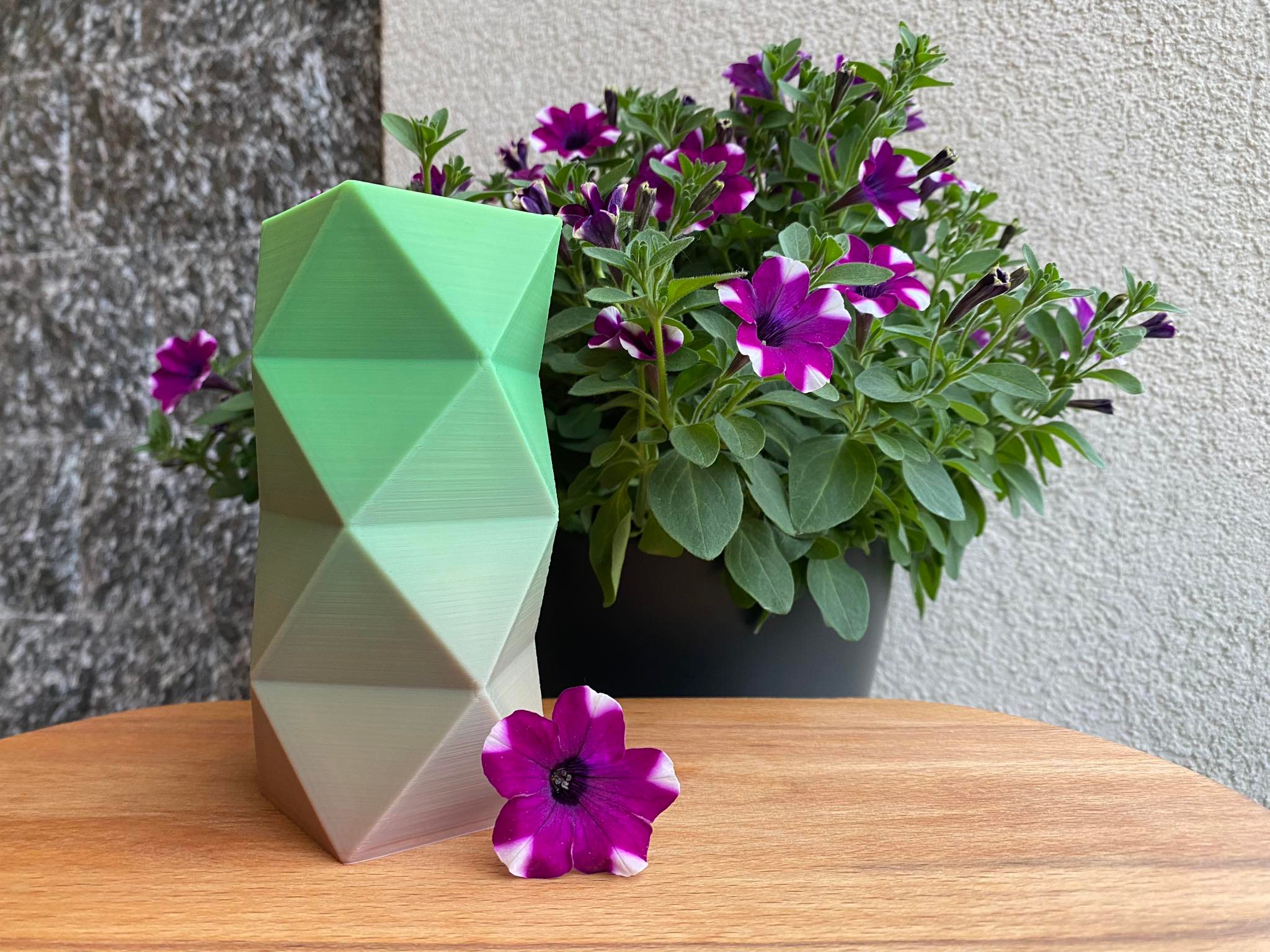 Geometric Vase - Pot and planter for House Plants and Flowers