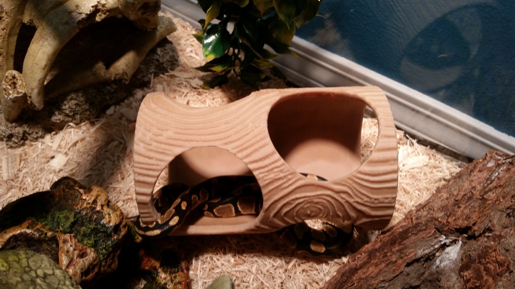 Miniatura 3 do modelo 3D Snake Hide - Fake Log