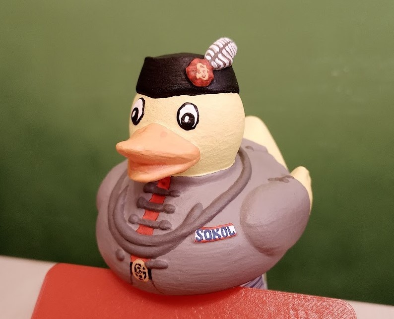 Sokol - Bratr Kačer (Brother Duck) by VieWoy | Download free STL model ...