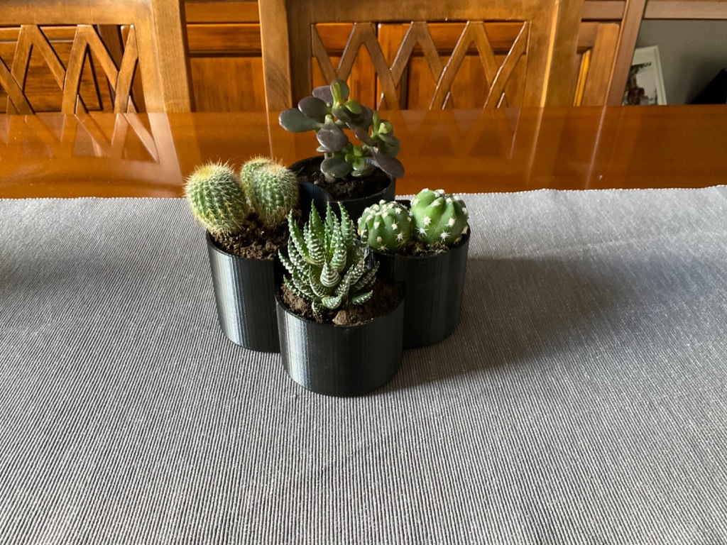 Succulent plant pot