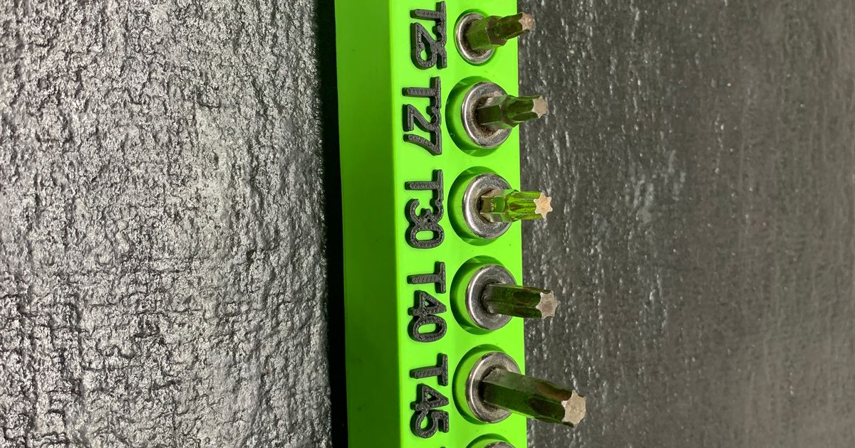 Torx Socket Driver tray T8T55 by V4VanGelder Download free STL model