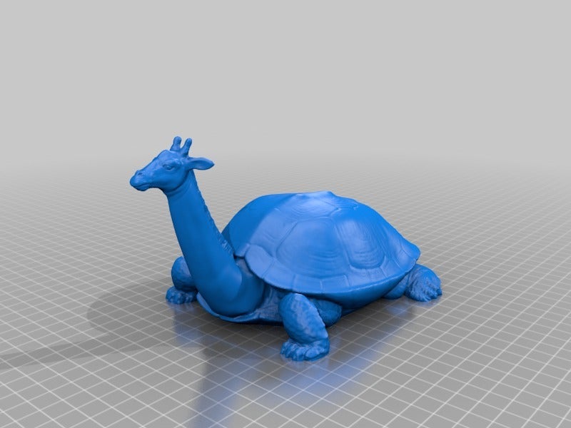 Giraffe Turtle