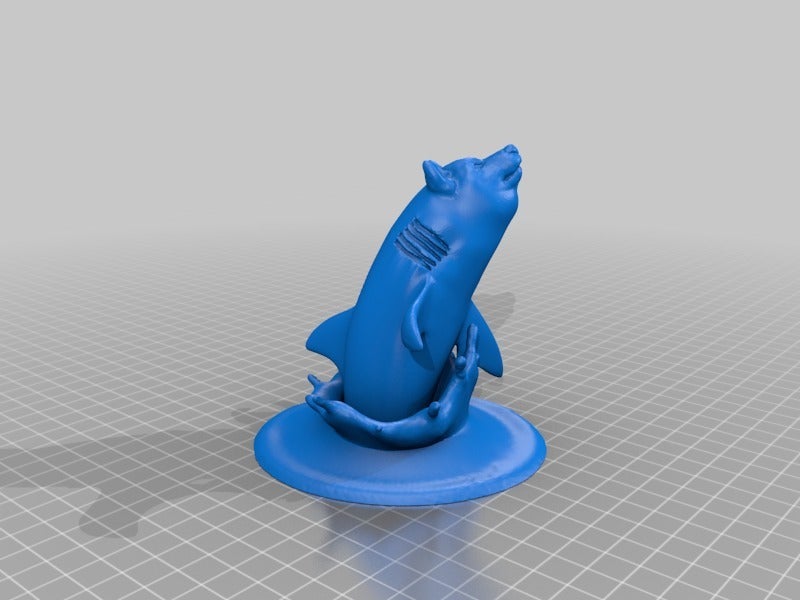 Shibe Shark
