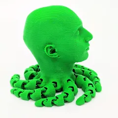 Saul Octopus
