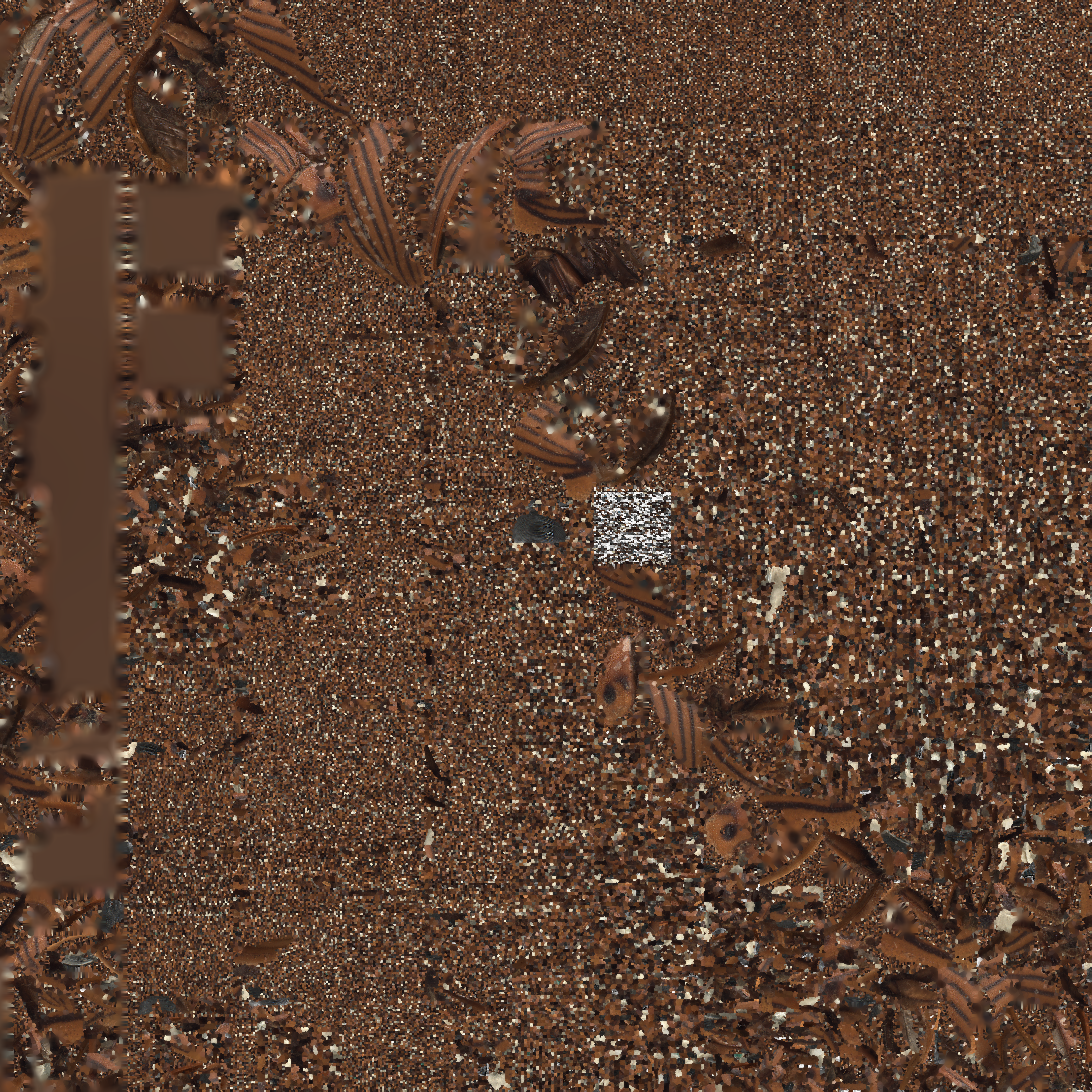 Test Image