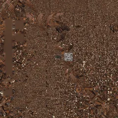 Test Image