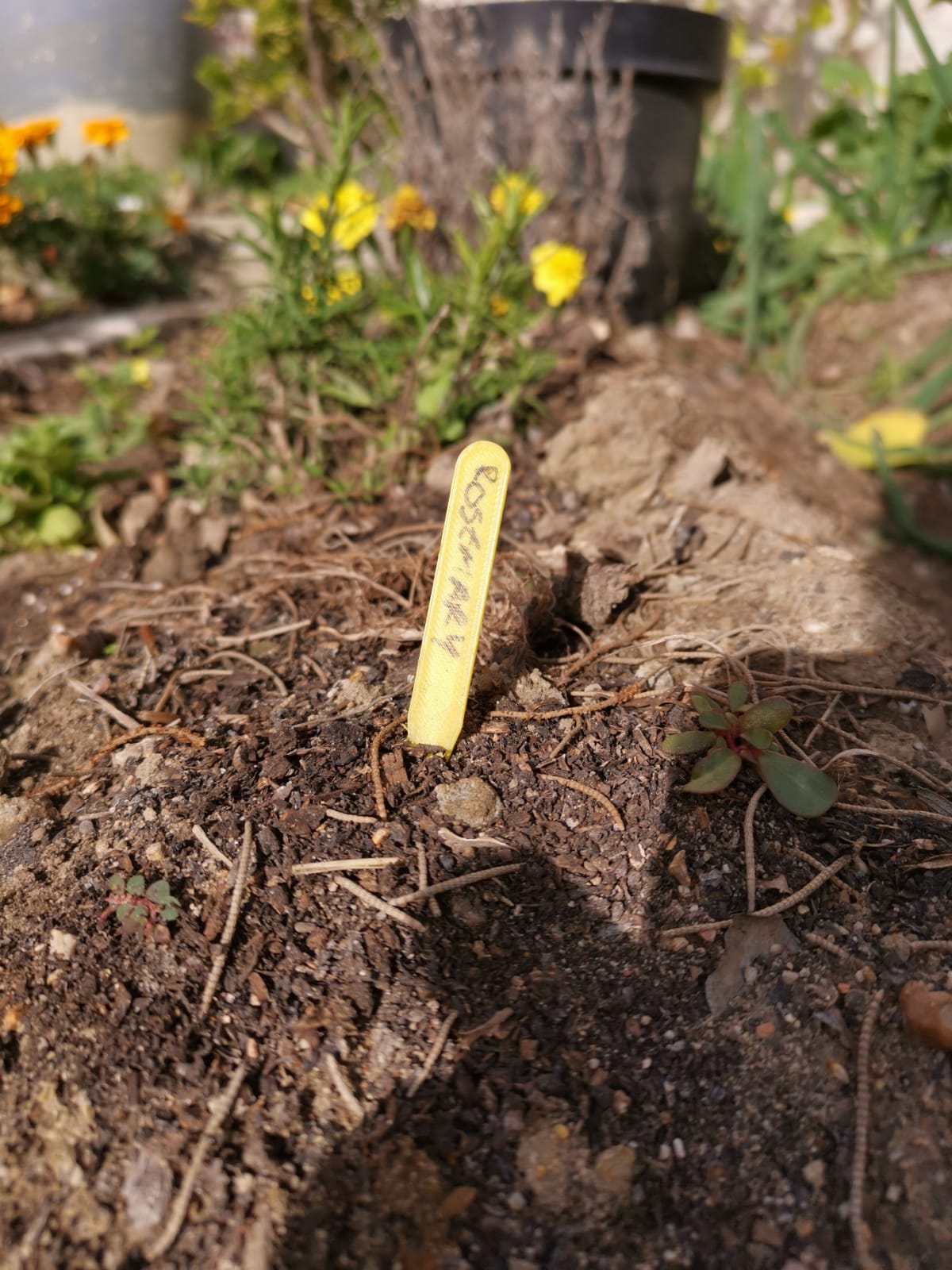 Simple Plant Label Ground Peg by JellyWobble Download free STL model