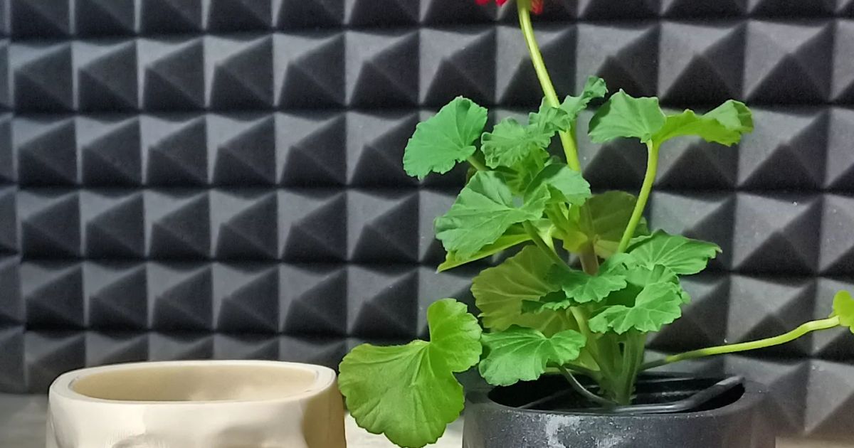 Skull Flower Pot by TriX0n Download free STL model Printables com Skull Flower Pot by TriX0n Download free STL model Printables com