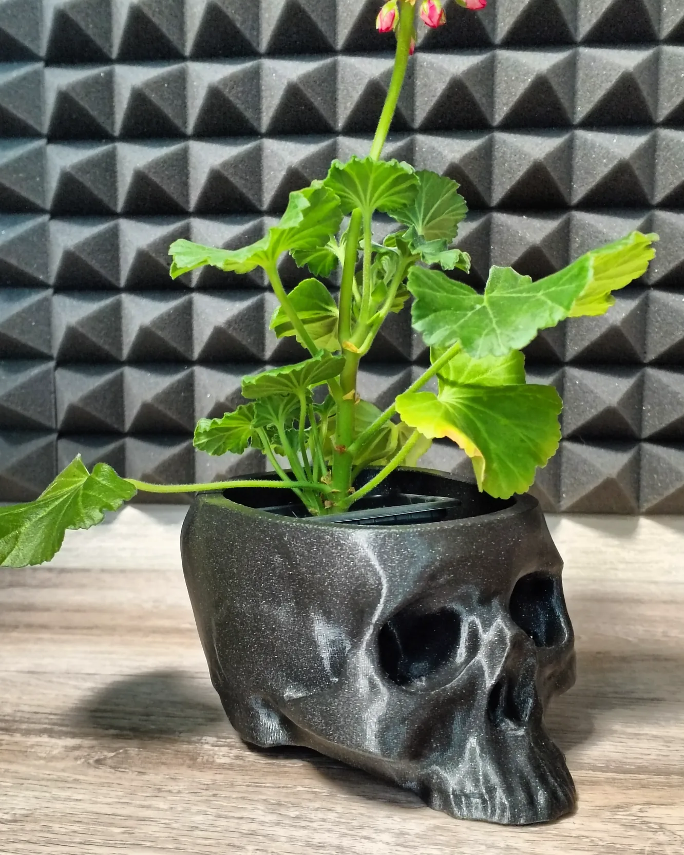 skull-flower-pot-by-trix0n-download-free-stl-model-printables