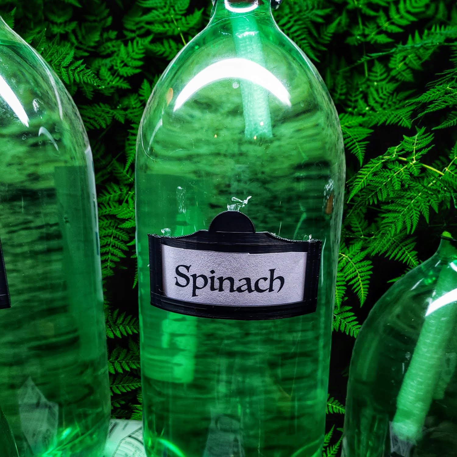 2 Liter Bottle Label Holder by FrankT | Download free STL model ...