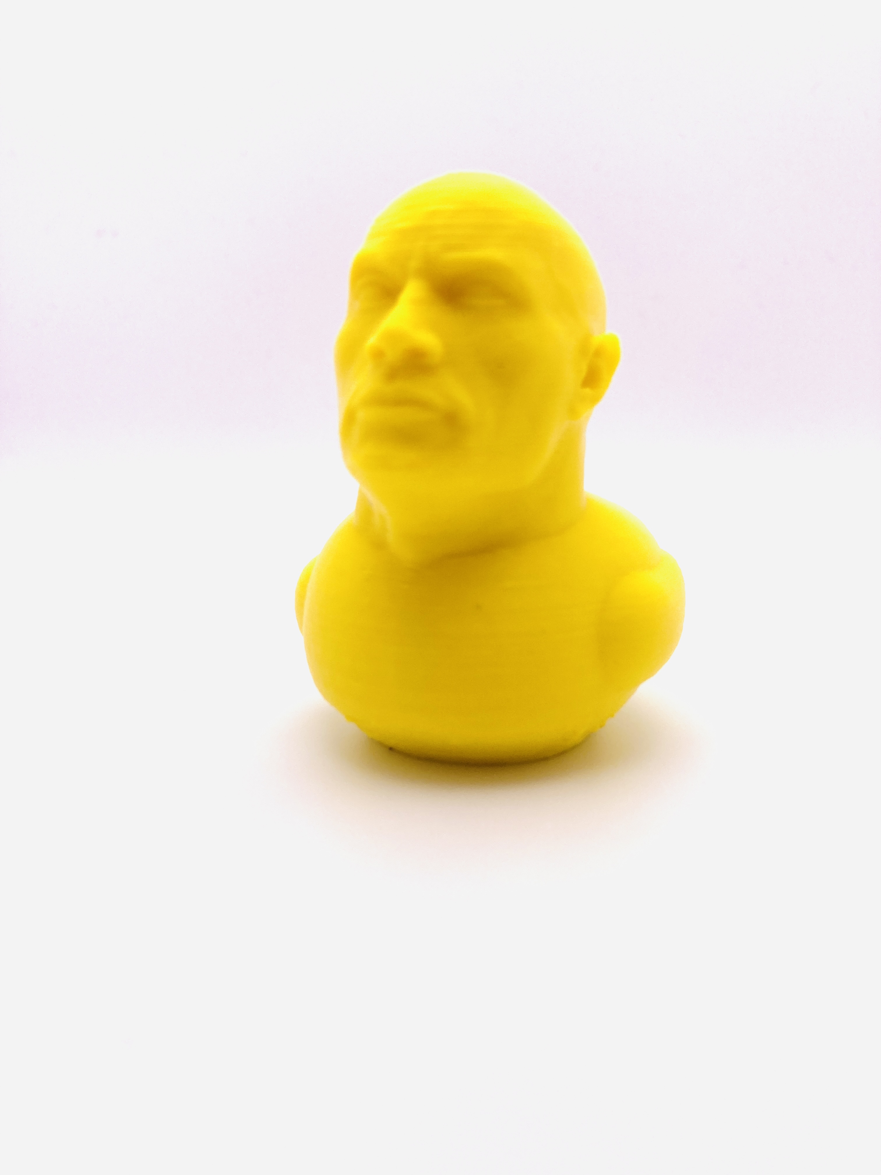 The Original Rock Duck