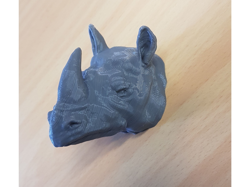 Rhino coat hanger by HeavyMetalGuy Download free STL model