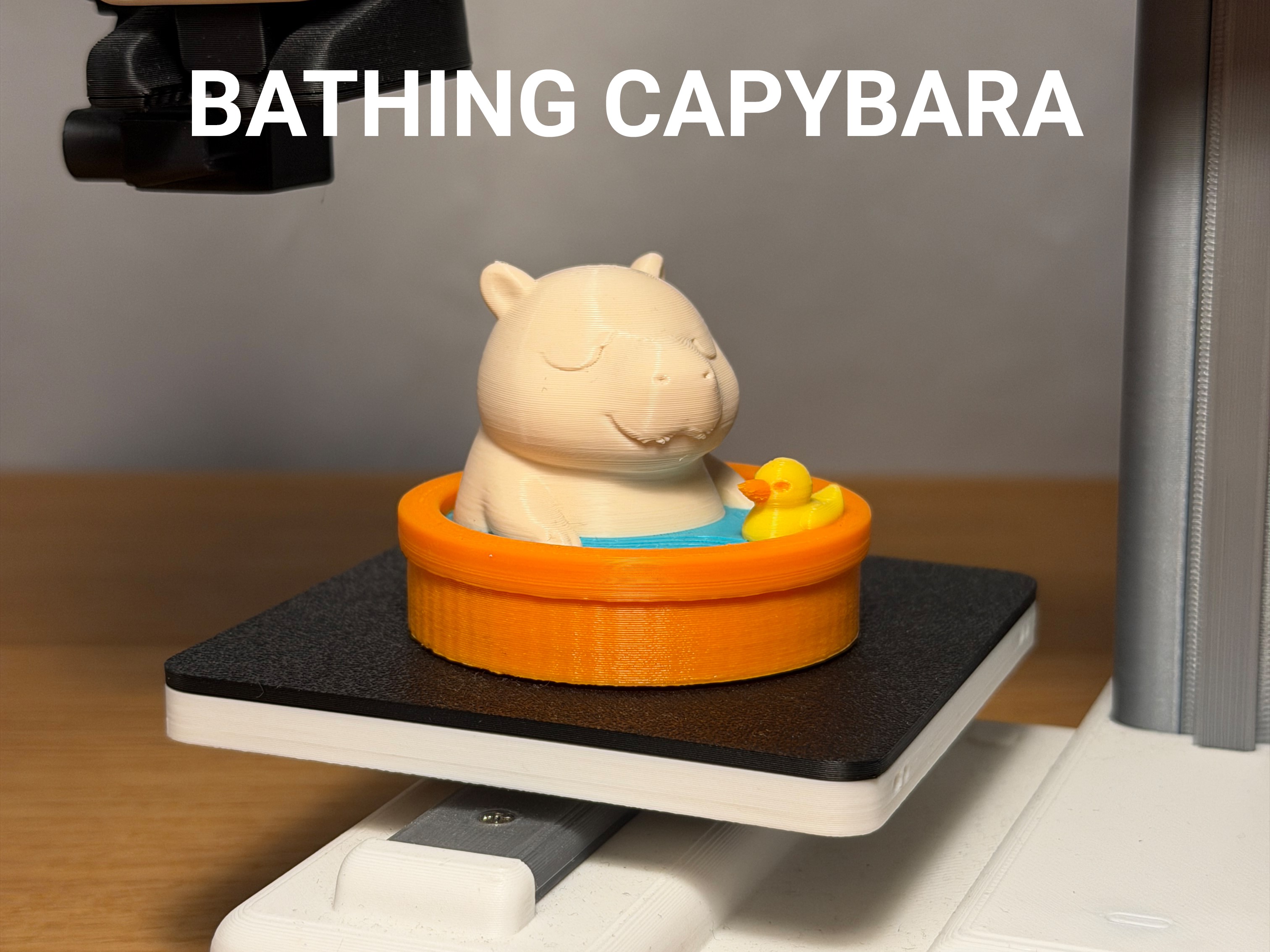 Bathing Capybara